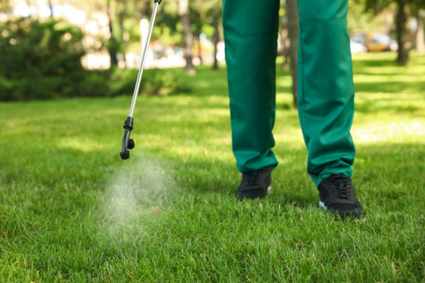 Best Emergency Pest Control  in Durant, MS