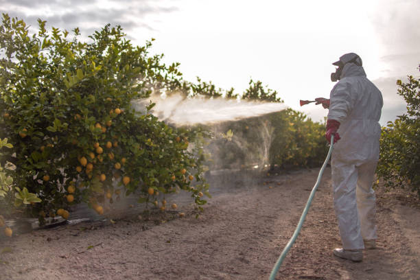 Best Residential Pest Control  in Durant, MS