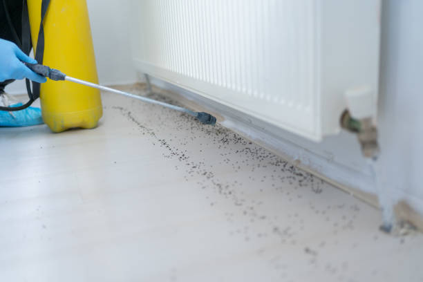 Best Affordable Pest Control Services  in Durant, MS